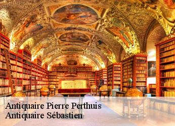 Antiquaire  pierre-perthuis-89450 Antiquaire Sébastien