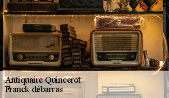 Antiquaire quincerot-89740 Franck débarras
