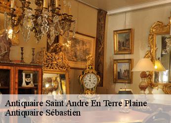Antiquaire  saint-andre-en-terre-plaine-89420 Antiquaire Sébastien