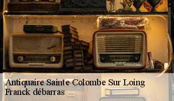 Antiquaire sainte-colombe-sur-loing-89520 Franck débarras