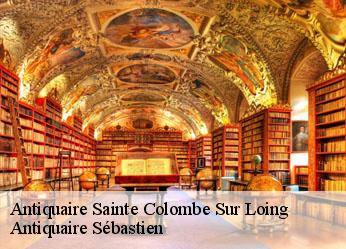 Antiquaire  sainte-colombe-sur-loing-89520 Antiquaire Sébastien