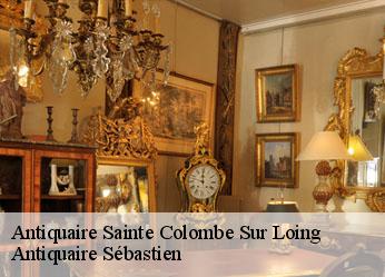 Antiquaire  sainte-colombe-sur-loing-89520 Antiquaire Sébastien