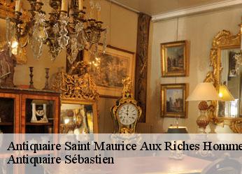 Antiquaire  saint-maurice-aux-riches-hommes-89190 Antiquaire Sébastien