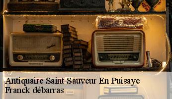 Antiquaire saint-sauveur-en-puisaye-89520 Franck débarras