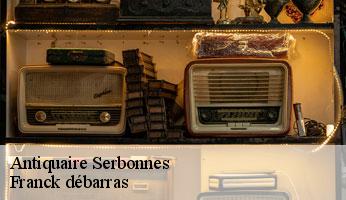 Antiquaire serbonnes-89140 Franck débarras