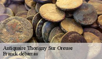 Antiquaire thorigny-sur-oreuse-89260 Franck débarras