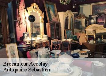 Brocanteur  accolay-89460 Antiquaire Sébastien