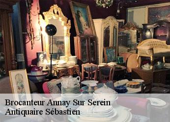 Brocanteur  annay-sur-serein-89310 Antiquaire Sébastien