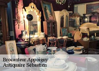 Brocanteur  appoigny-89380 Antiquaire Sébastien