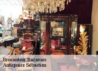 Brocanteur  bazarnes-89460 Antiquaire Sébastien