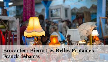 Brocanteur bierry-les-belles-fontaines-89420 Franck débarras