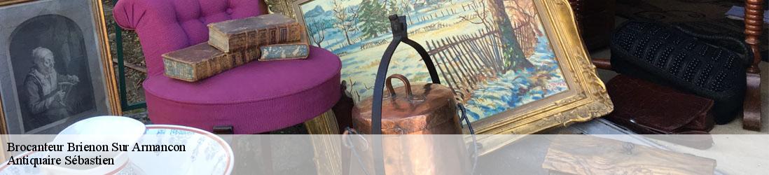 Brocanteur  brienon-sur-armancon-89210 Antiquaire Sébastien