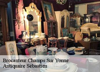 Brocanteur  champs-sur-yonne-89290 Antiquaire Sébastien