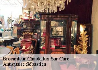 Brocanteur  chastellux-sur-cure-89630 Antiquaire Sébastien