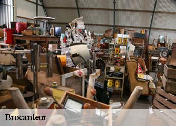 Brocanteur  coulanges-sur-yonne-89480 Antiquaire Sébastien
