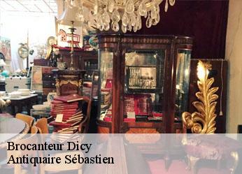 Brocanteur  dicy-89120 Antiquaire Sébastien