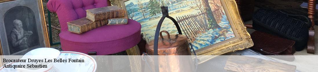 Brocanteur  druyes-les-belles-fontain-89560 Antiquaire Sébastien