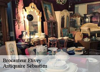 Brocanteur  etivey-89310 Antiquaire Sébastien