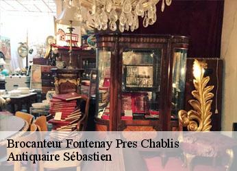 Brocanteur  fontenay-pres-chablis-89800 Antiquaire Sébastien