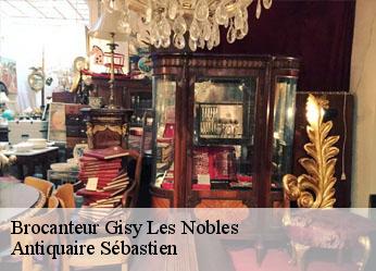 Brocanteur  gisy-les-nobles-89140 Antiquaire Sébastien