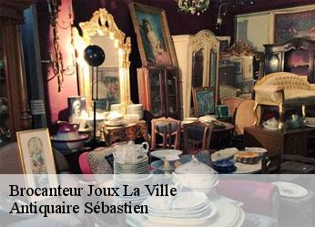 Brocanteur  joux-la-ville-89440 Antiquaire Sébastien