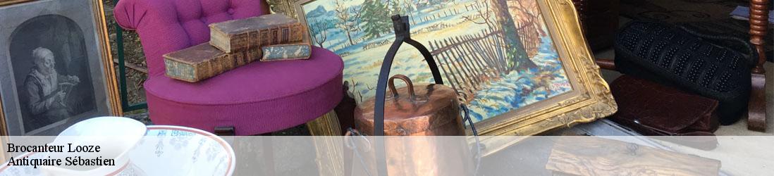 Brocanteur  looze-89300 Antiquaire Sébastien