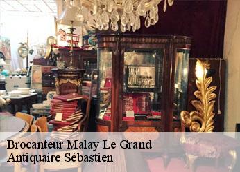 Brocanteur  malay-le-grand-89100 Antiquaire Sébastien