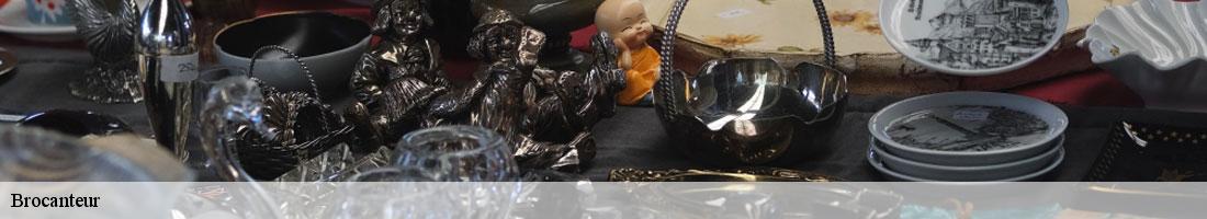 Brocanteur saint-loup-d-ordon-89330 Franck débarras