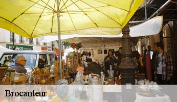 Brocanteur saint-loup-d-ordon-89330 Franck débarras