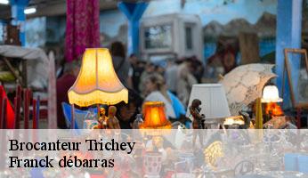 Brocanteur trichey-89430 Franck débarras