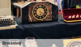 Brocanteur yrouerre-89700 Franck débarras