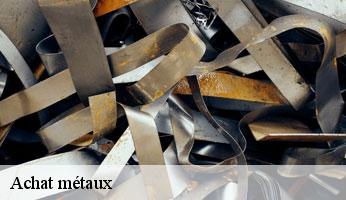 Achat métaux bussy-en-othe-89400 Franck débarras