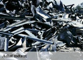 Achat métaux  chaumot-89500 Antiquaire Sébastien