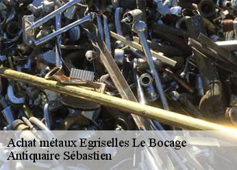 Achat métaux  egriselles-le-bocage-89500 Antiquaire Sébastien