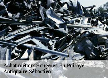 Achat métaux  sougeres-en-puisaye-89520 Antiquaire Sébastien