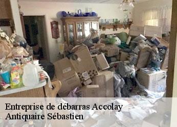 Entreprise de débarras  accolay-89460 Antiquaire Sébastien