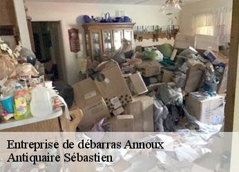 Entreprise de débarras  annoux-89440 Antiquaire Sébastien