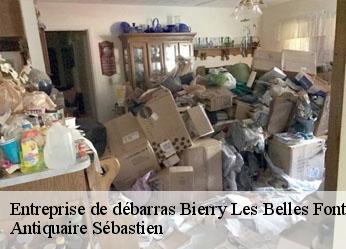 Entreprise de débarras  bierry-les-belles-fontaines-89420 Antiquaire Sébastien