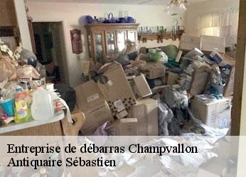 Entreprise de débarras  champvallon-89710 Antiquaire Sébastien