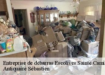 Entreprise de débarras  escolives-sainte-camille-89290 Antiquaire Sébastien