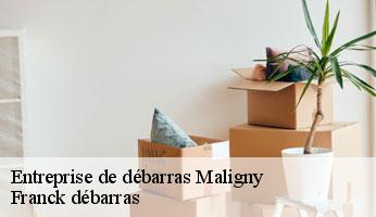 Entreprise de débarras maligny-89800 Franck débarras