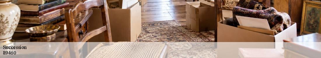 Succession  trucy-sur-yonne-89460 Franck débarras