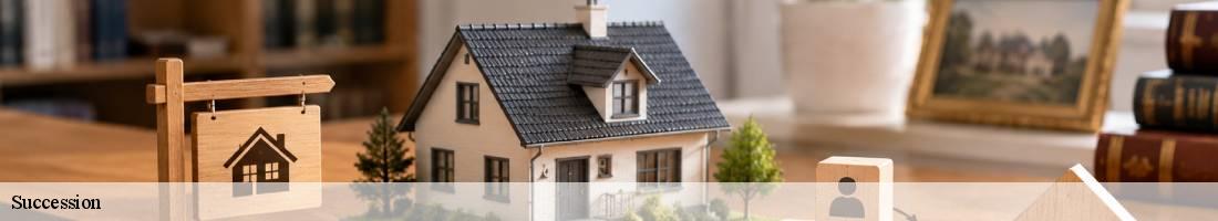 Succession volgre-89710 Franck débarras